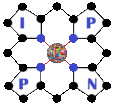 IPNP